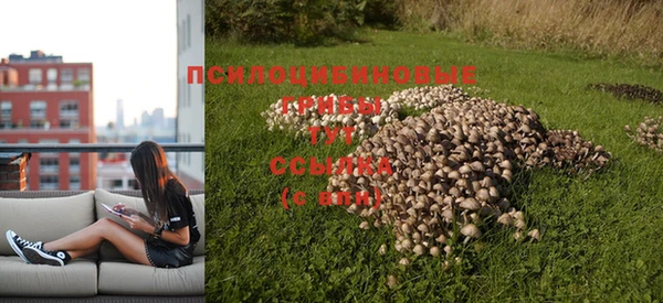 тгк Нея