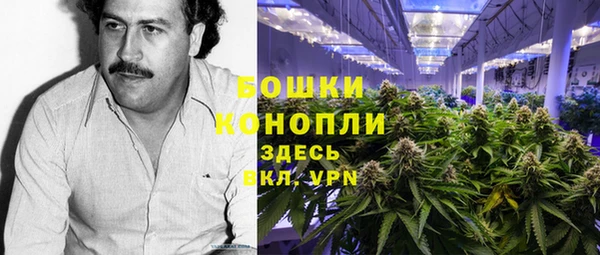 тгк Нея