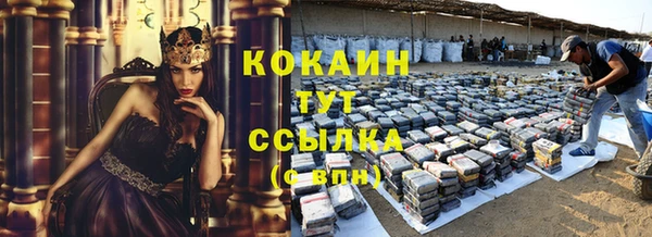 дмт Каменногорск