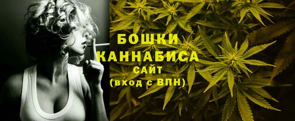тгк Нея