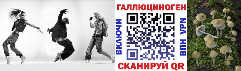 Галлюциногенные грибы Psilocybine cubensis  продажа наркотиков  MEGA tor  Княгинино 